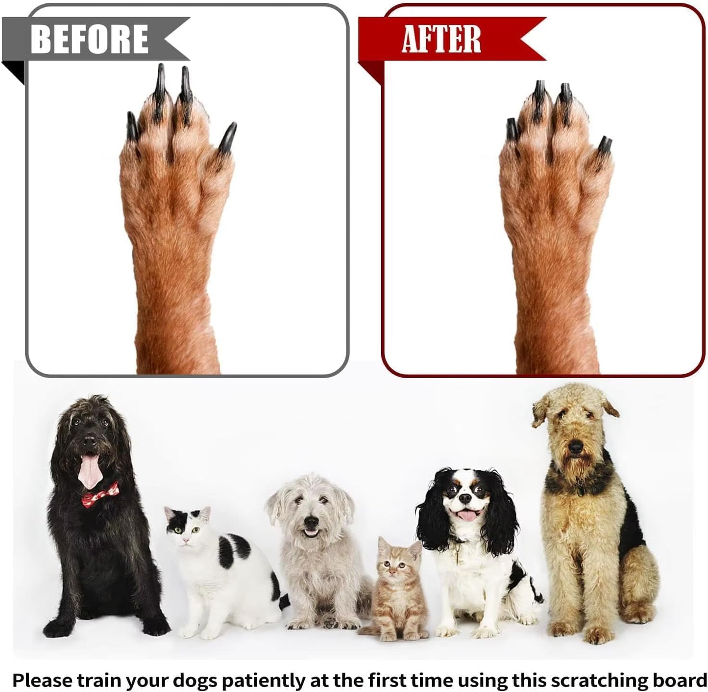 Dog Scratch Board with Treat Box - Bamboo Dog Scratch Pad for Nails